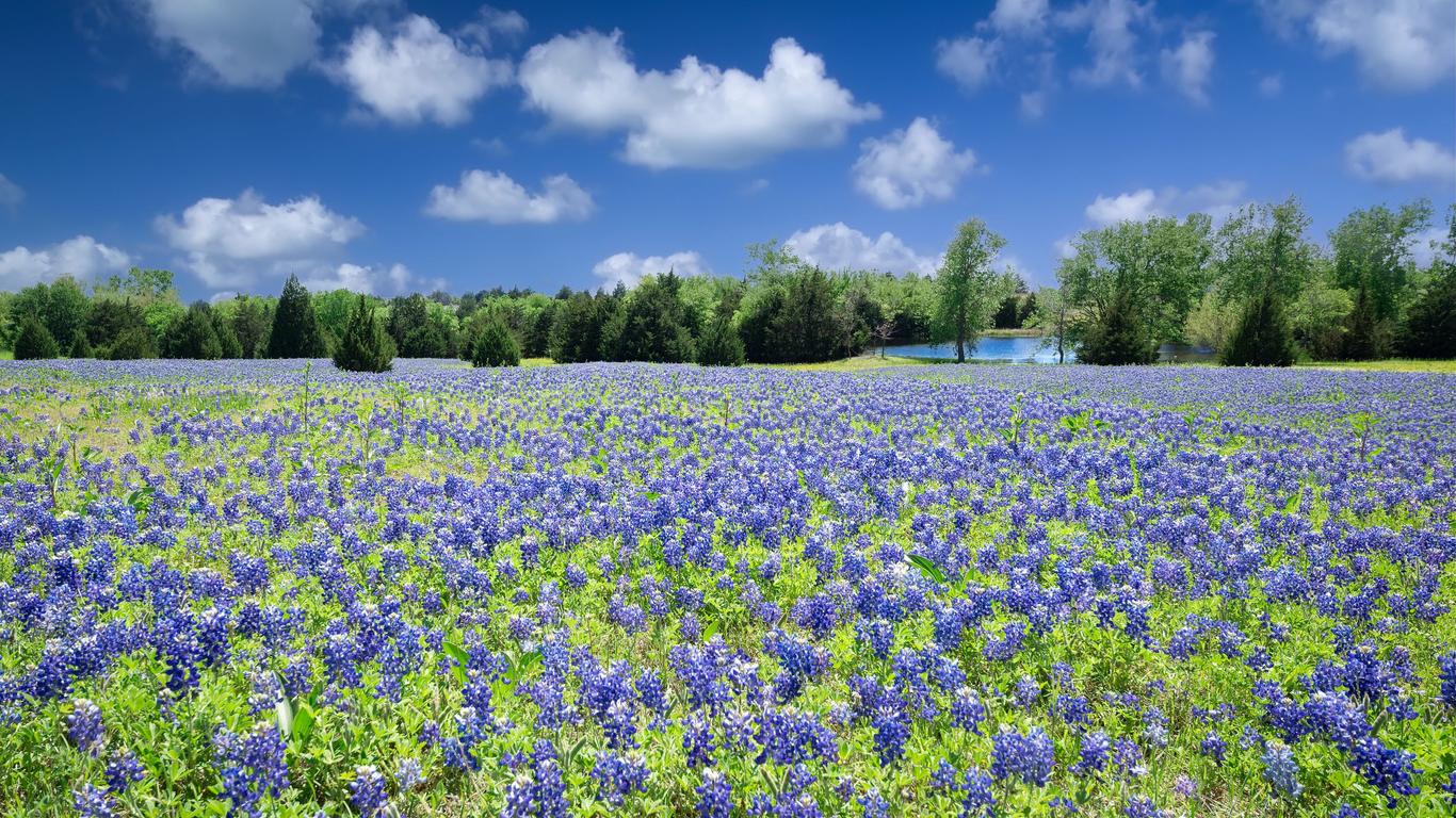 Flights to Texas